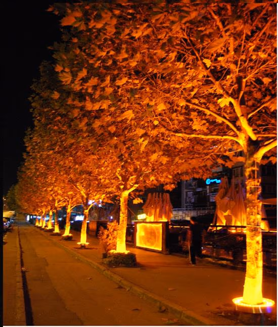 Cadde ve Yol Işıklandırması